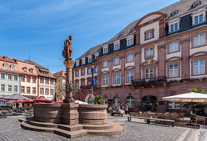 Heidelberg Our morning in Heidelberg was spent touring the castle and having a traditional Bavarian lunch of sausages, sauerkraut,...