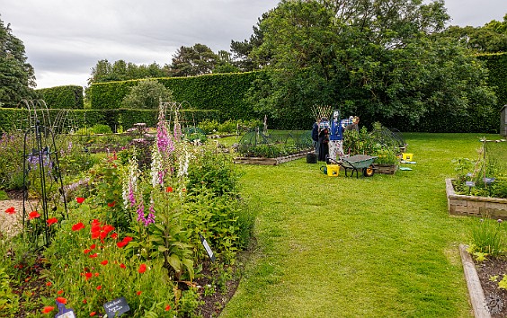 Edinburgh2024-016 Schools, students and community groups have plots in the Demonstration Garden which is used for education and community sessions