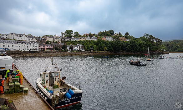 IsleOfSkye2024-002 Sunday morning in the mist and rain we pulled into Portree harbor, the largest town on the Isle of Skye, population 2300.