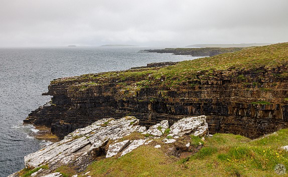 Orkney2024-012 The cliffs of Mull Head are spectacular. They consist of red sandstone that is constantly pounded by the sea, eroding them and exploiting weak seams to form...