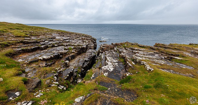 Orkney2024-013 The cliffs of Mull Head are spectacular. They consist of red sandstone that is constantly pounded by the sea, eroding them and exploiting weak seams to form...