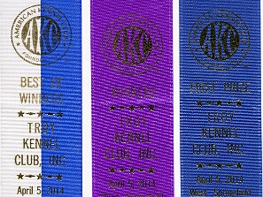 Springfield MA Show - Apr 5, 2014 Max goes into the ring to help Sophie won her 3rd point at the Troy Kennel Club Show in Springfield MA