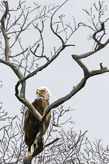 Master of His Universe The first digital watercolor to be shown at the gallery is one that Max painted on her tablet titled 