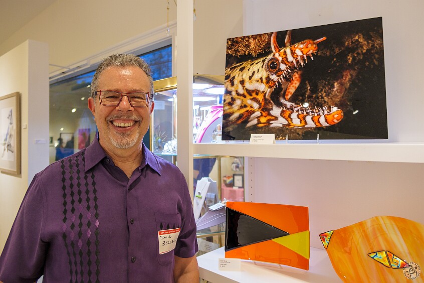 NatureUpClose2025-004 My first underwater photograph being shown at the gallery, a dragon moray eel on metal titled 