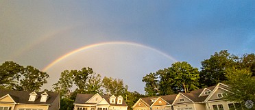 Summer / Fall 2024 Spiders and rainbows, oh my!