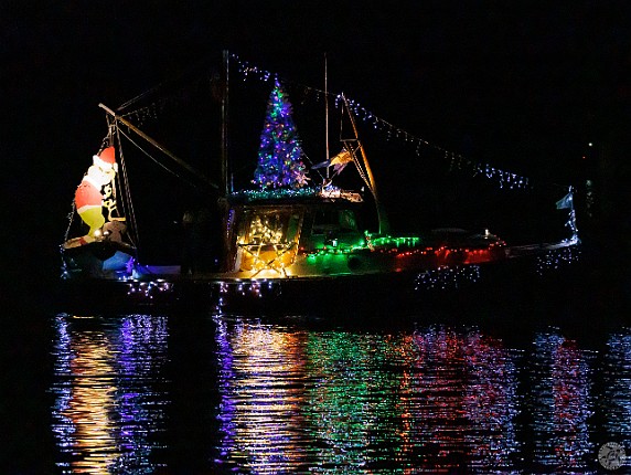 TreesInTheRigging2024-018 After the land parade is over, everyone migrates to the waterfront to watch the parade of boats with 